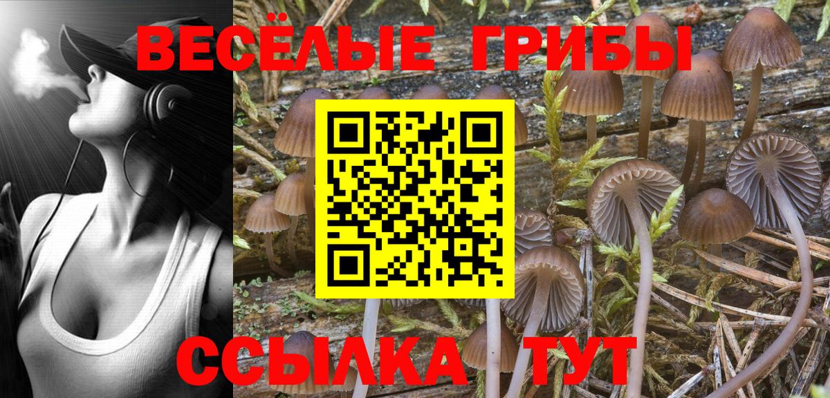 Галлюциногенные грибы Cubensis  Галлюциногенные грибы MAGIC MUSHROOMS  Вход с VPN  Еманжелинск 
