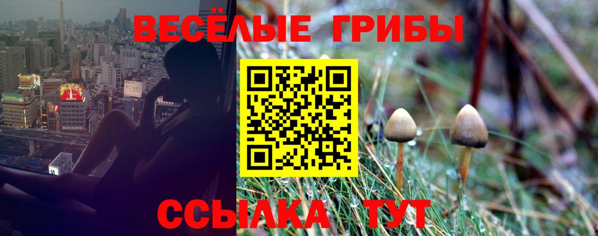 Меф МЯУ МЯУ кристаллы  Канабис  Еманжелинск  ГАШ  Вход с VPN  NBOMe 