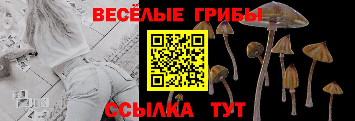 Псилоцибиновые грибы Magic Shrooms Еманжелинск